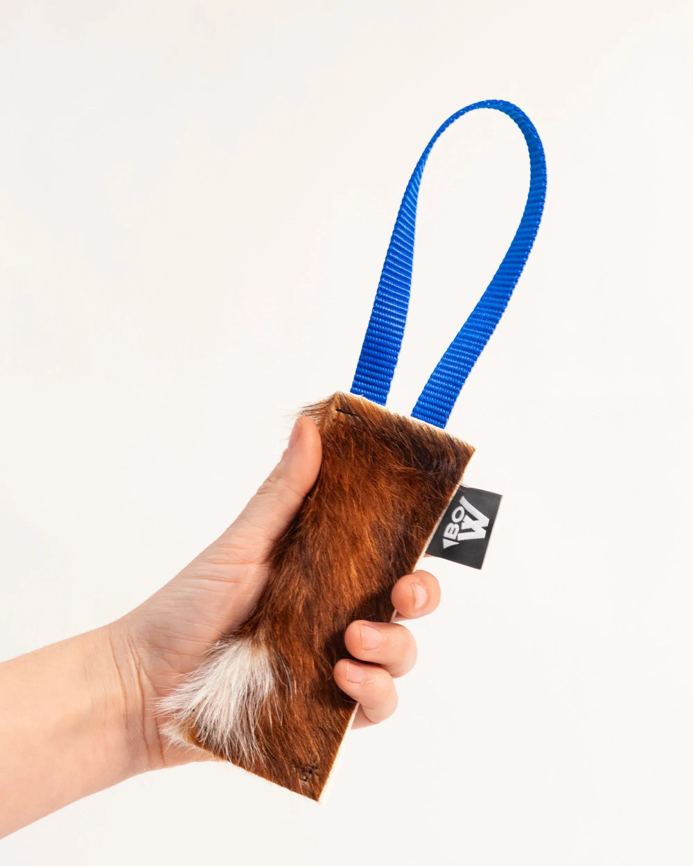 El Secreto del Jackpot: Cómo Acelerar el Aprendizaje de tu Perro en un 200%