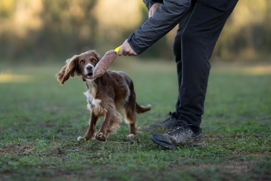 Mordedores de cuero de oveja y vaca para perros