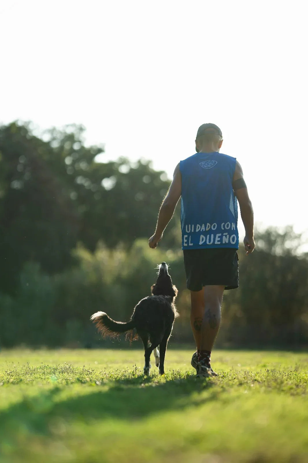 Material Profesional para Entrenamiento Canino: Descubre BOW (Beware of the Owner)