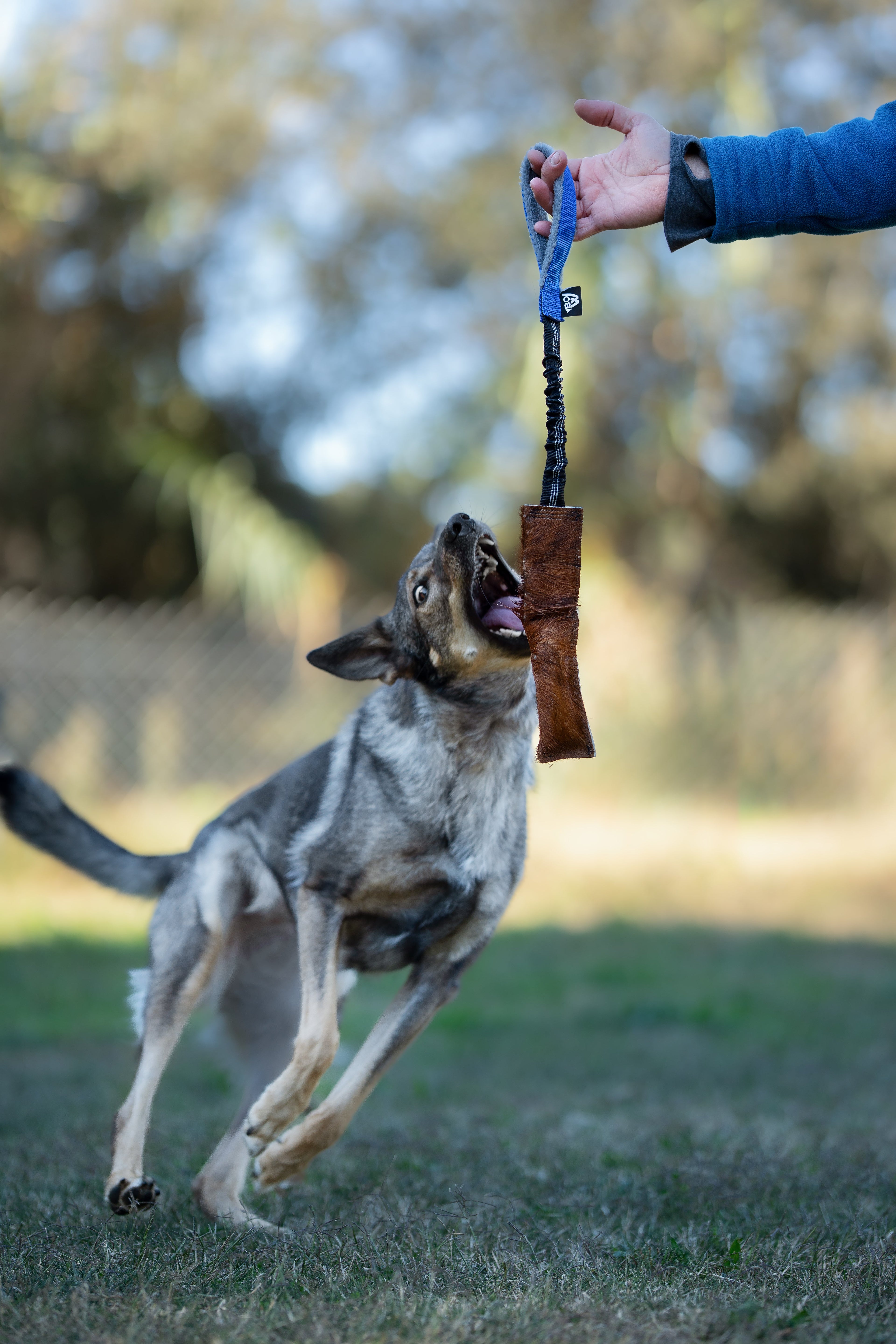 Perro jugando con mordedor de pelo de la marca Beware Of The Owner juguetes para perros naturales
