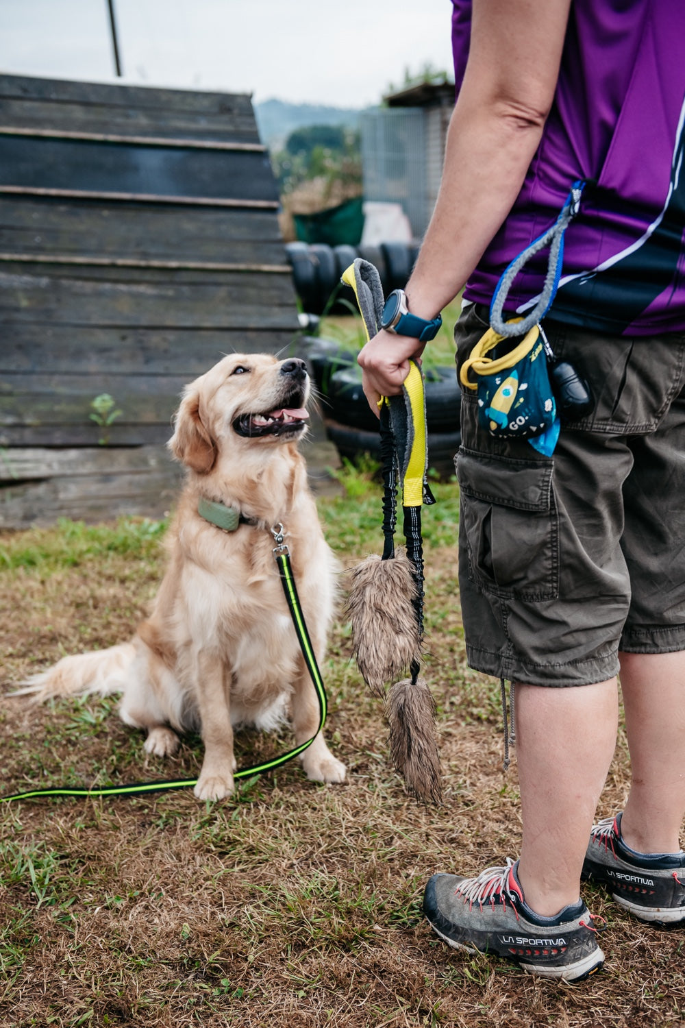 Outlet de Mordedores Naturales y Accesorios para Perros – Ofertas Especiales