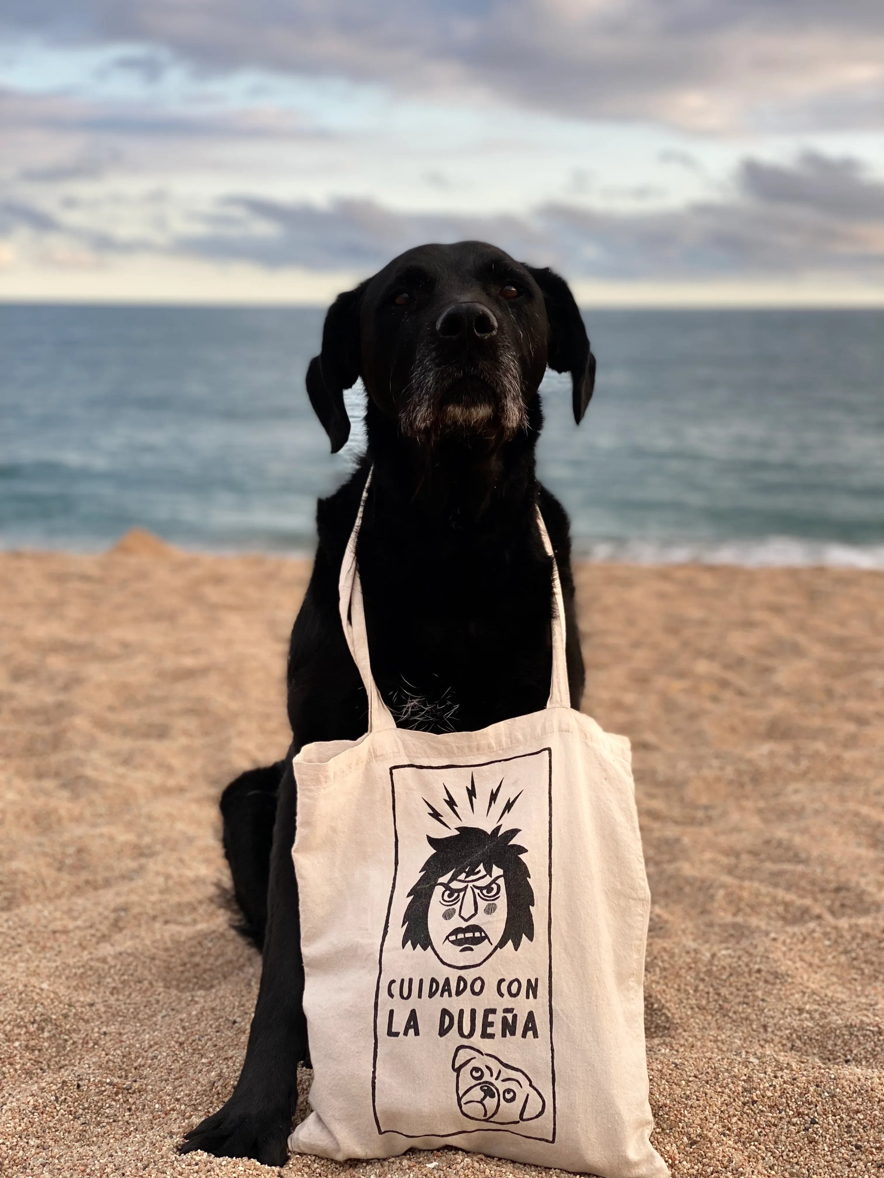 totes rebajas - Beware of the owner