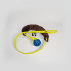 Mordedor BENITO - Beware of the owner