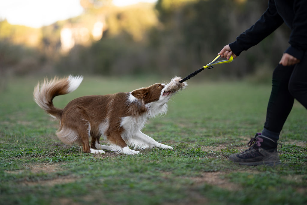Anneau de dentition RIRE