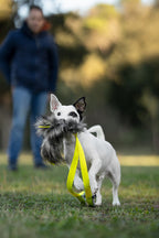 Mordedor KRIS - Beware of the owner