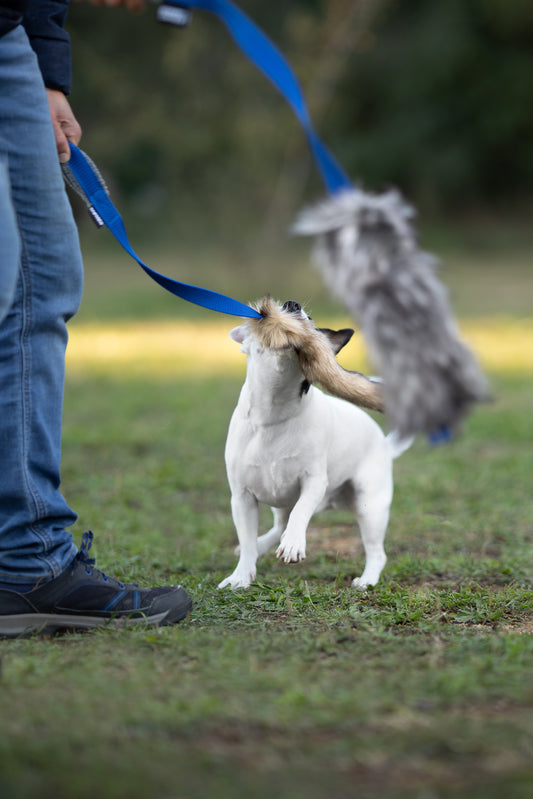 Zerrspielzeug "KRIS"