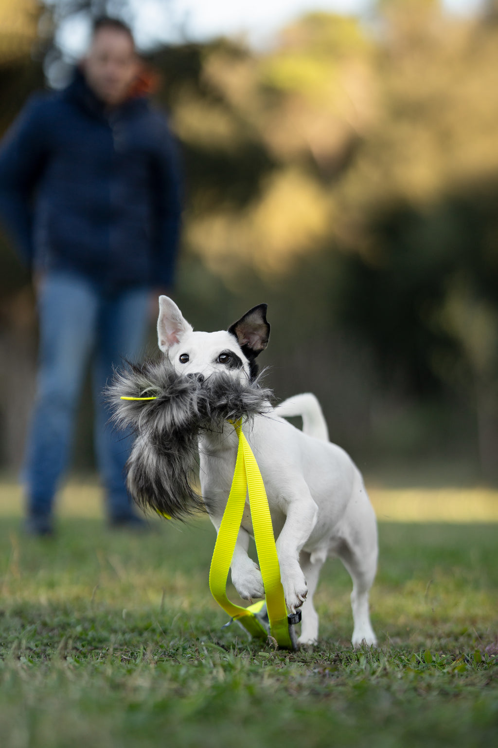 Pack Switch PRO: compromiso con el juego (y con vuestro equipo)