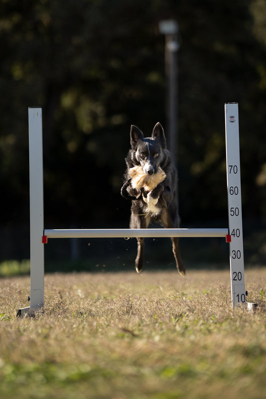 Zerrspielzeug "CHISTE"