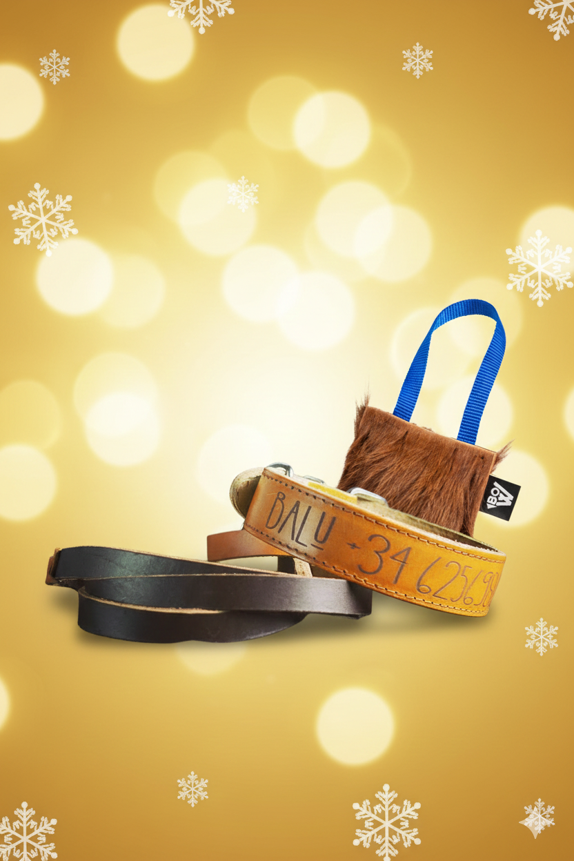 Pack Polar (Correa + Collar cuero + Zizou)