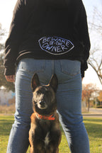 Sudadera de entrenamiento canino FUGA - Beware of the owner
