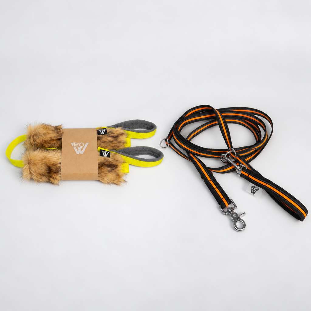 Pack BRÚJULA para empezar a entrenar