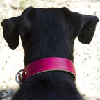 Collar de cuero personalizado - Beware of the owner