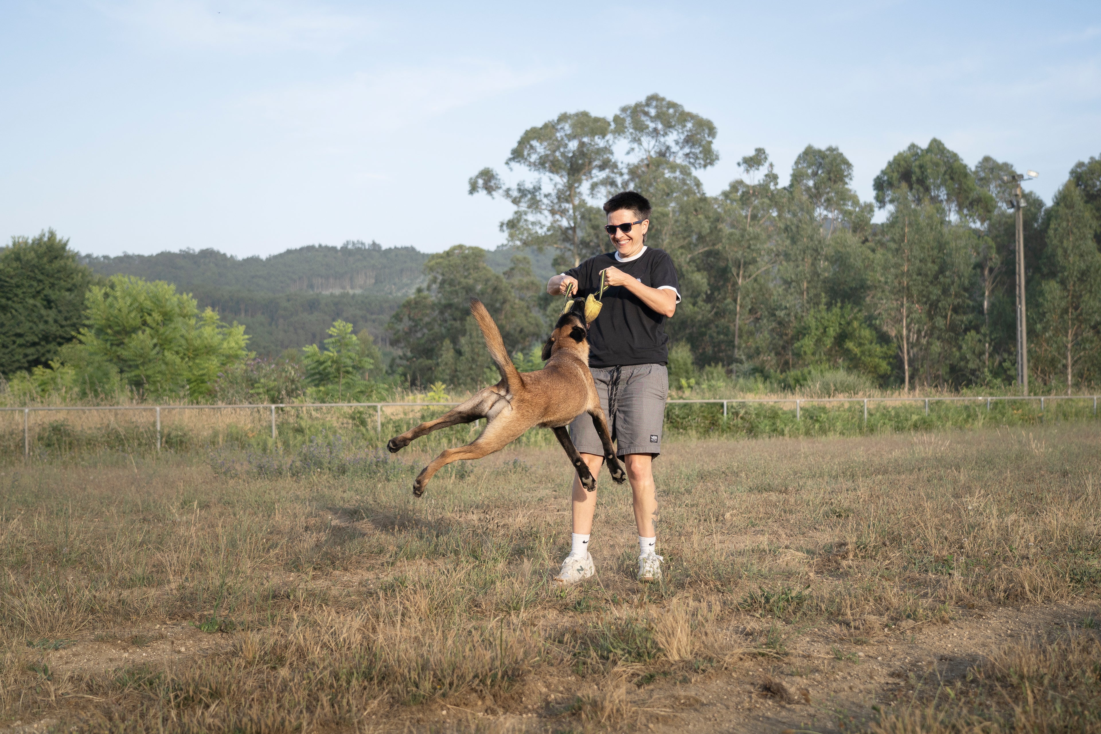 Mordedor de tela francesa NOIS para perros | BOW