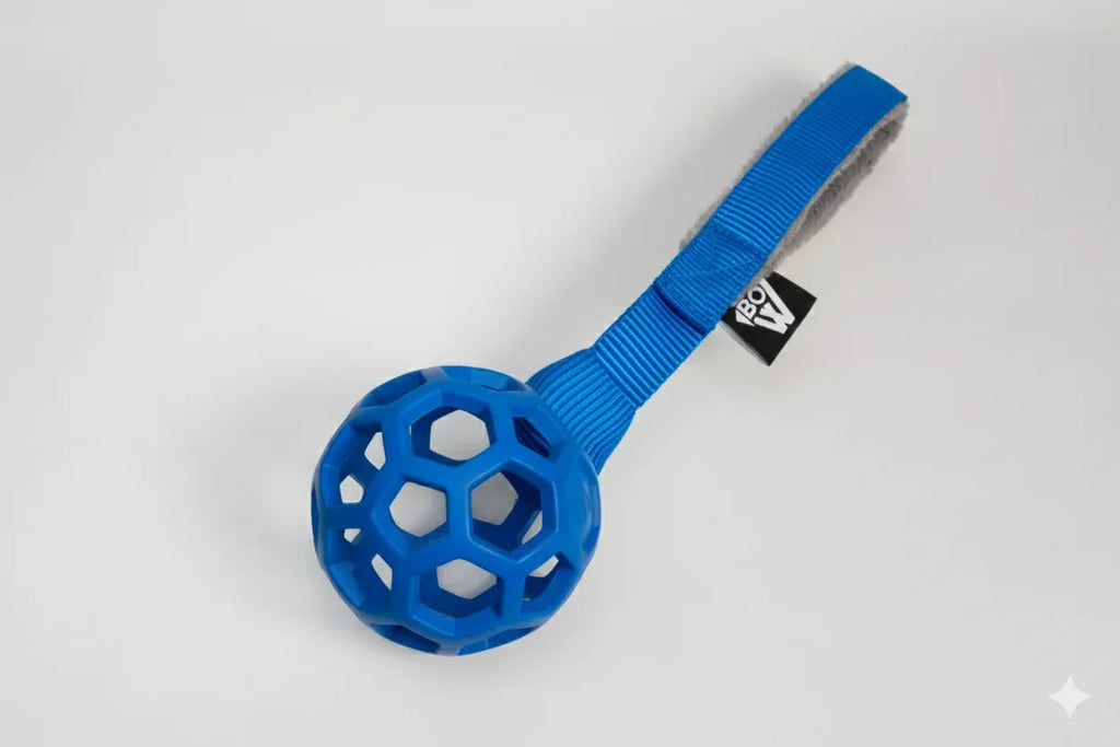 Mordedor MESSI - Beware of the owner