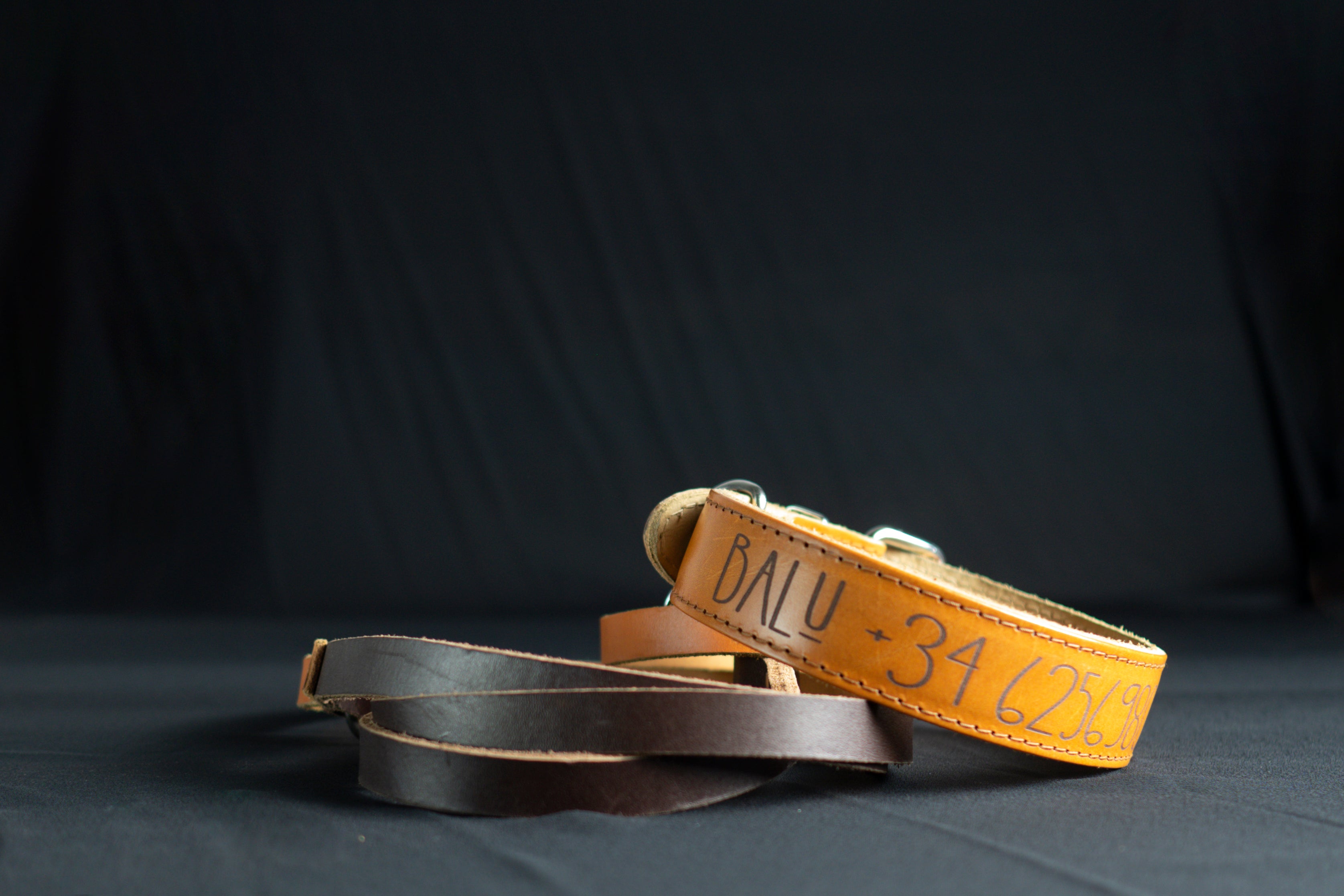 Pack Polar (Correa + Collar cuero + Zizou)