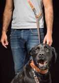 Correa de cuero para perros (manos libres) | Ajustable y cómoda | BOW
