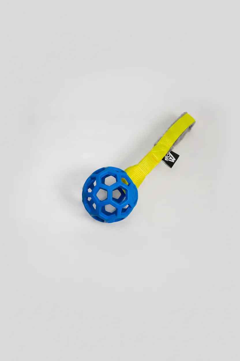 Mordedor con pelota JW MESSI para perros | BOW